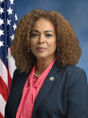 Asm. Yudelka Tapia (NY)