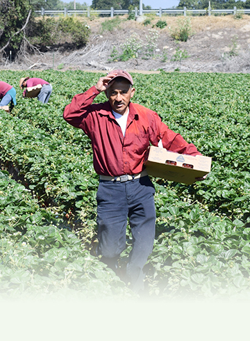 Government, Social Justice and Taxation