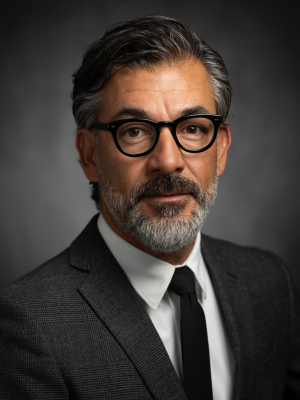 Vice President for Membership