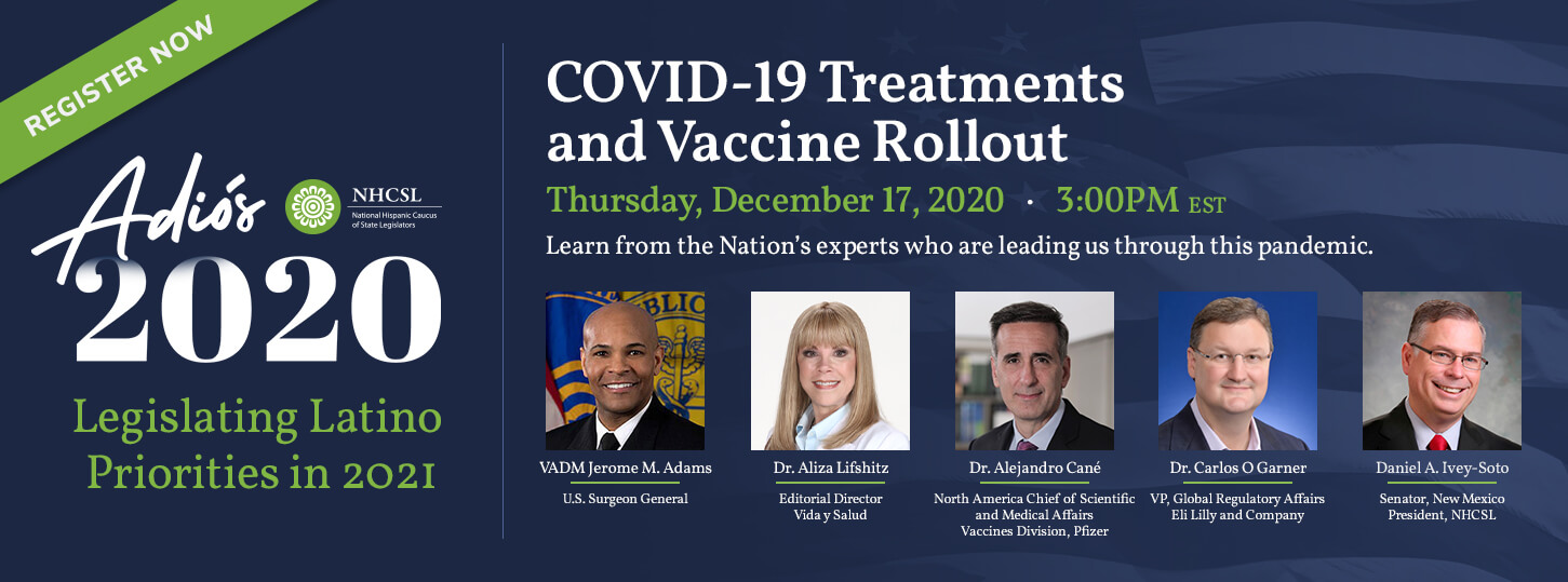 2020 Virtual Summit banner